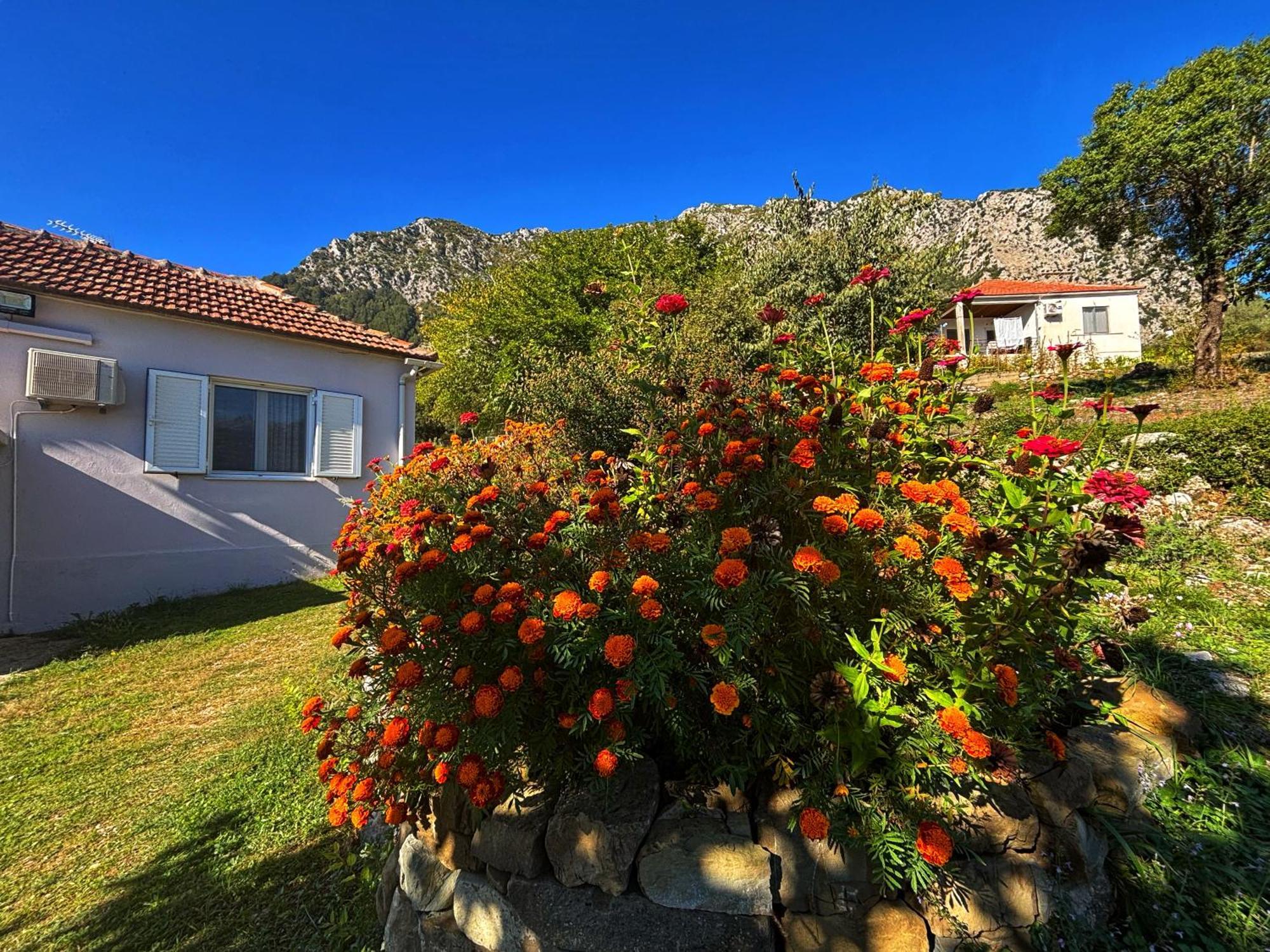 Georgaras Accommodation Platanoussa Exteriér fotografie